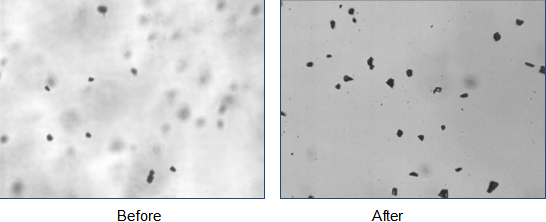 Анализатор размера частиц динамического изображения Winner100D