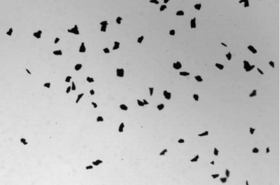 Благодаря большой глубине резкости и телецентрическому оптическому тракту для анализа изображений частиц