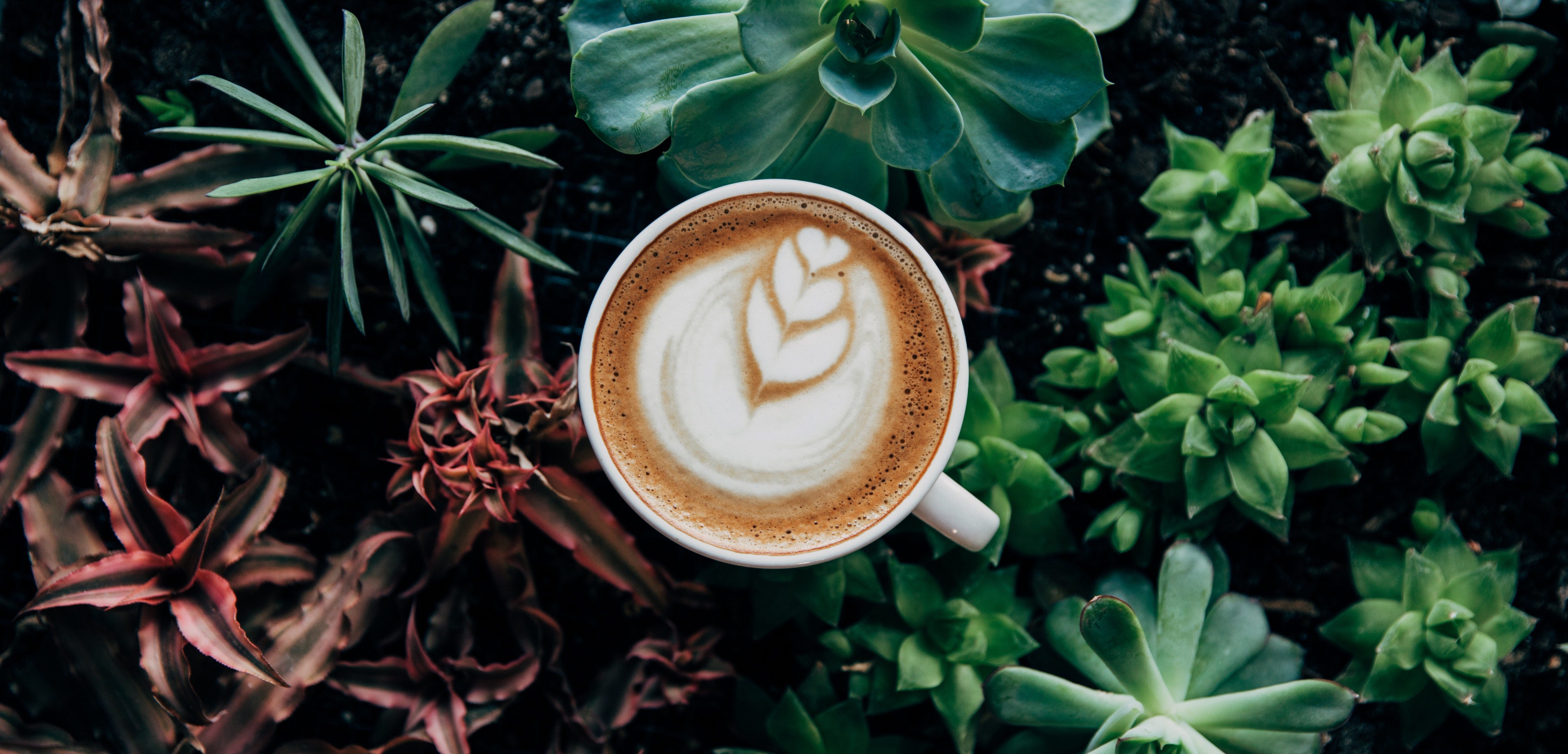 Применение применение лазерного анализатора размера частиц в ароматизированном кофе