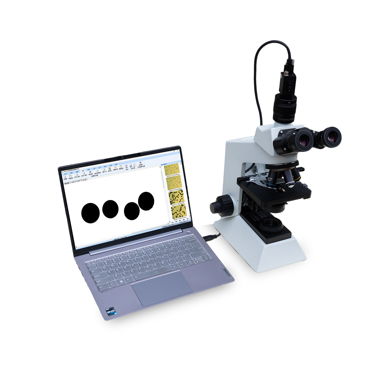 Победитель -анализатор размера частиц статического изображения 99E