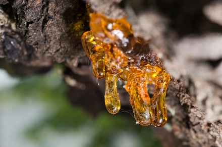 Применение лазерного анализатора размера частиц в полимерной промышленности